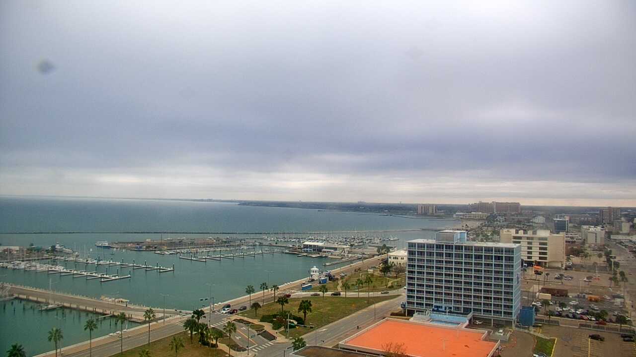 Thumbnail for current weather camera view from First Community Bank in Corpus Christi, Texas