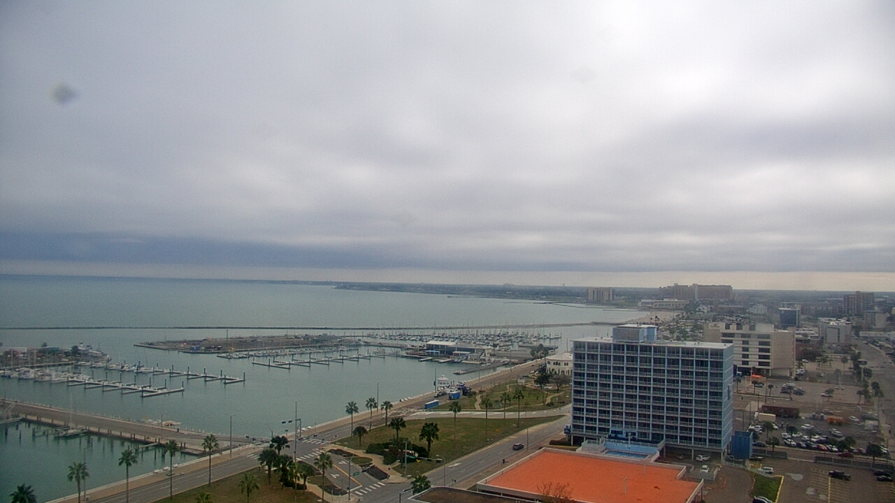 Thumbnail for current weather camera view from First Community Bank in Corpus Christi, Texas