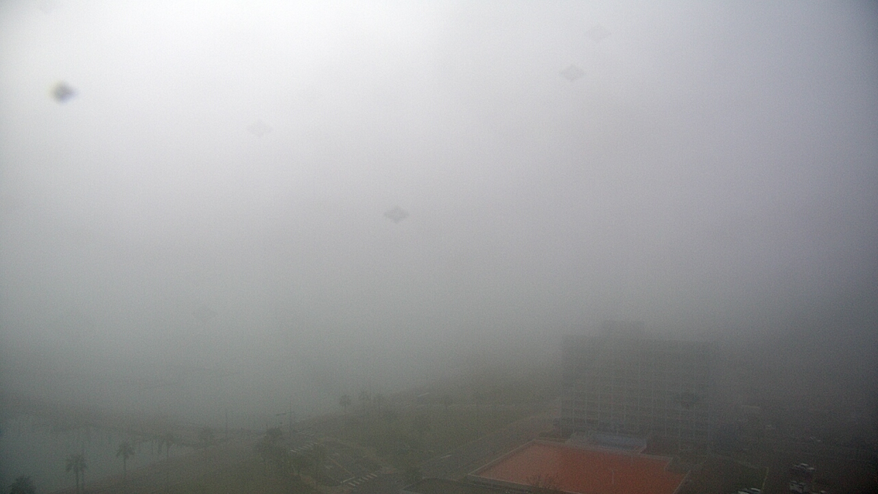 Thumbnail for current weather camera view from First Community Bank in Corpus Christi, Texas