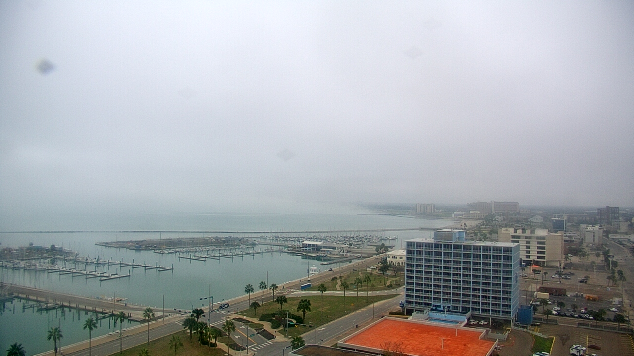 Thumbnail for current weather camera view from First Community Bank in Corpus Christi, Texas