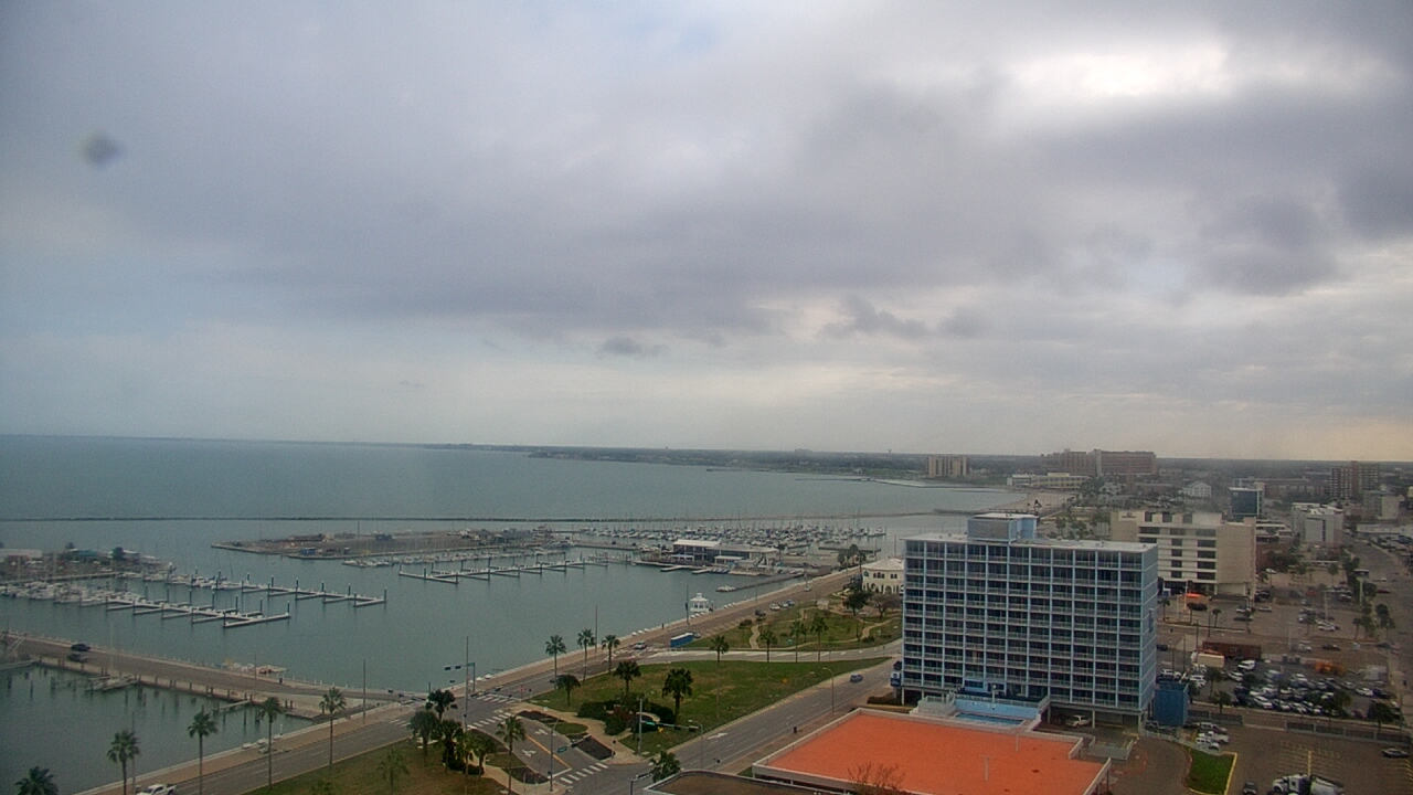 Thumbnail for current weather camera view from First Community Bank in Corpus Christi, Texas