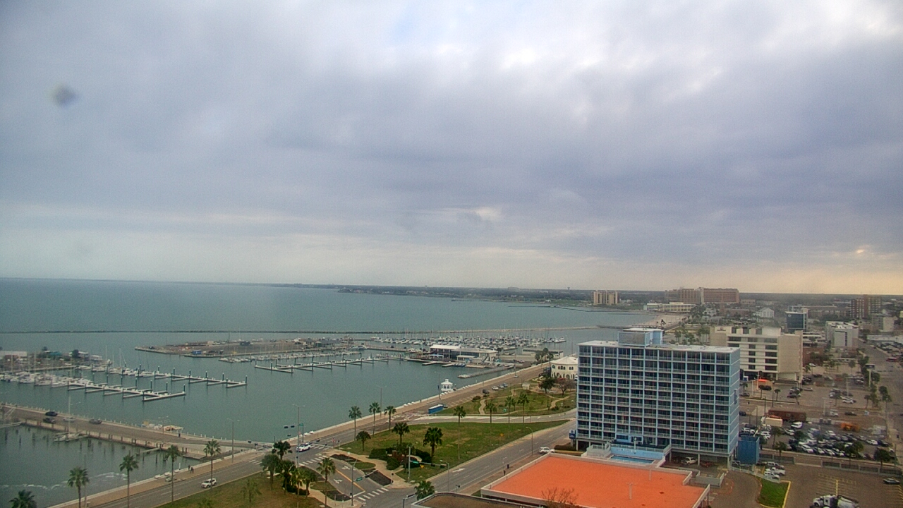 Thumbnail for current weather camera view from First Community Bank in Corpus Christi, Texas