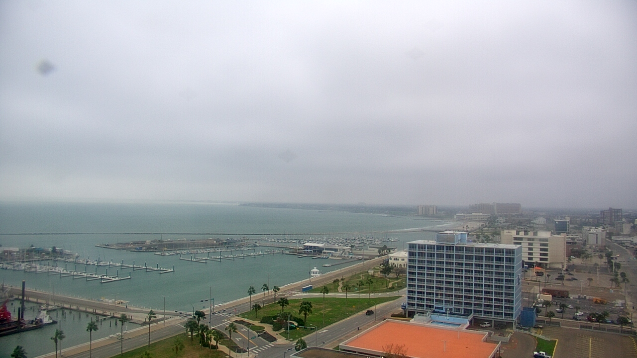 Thumbnail for current weather camera view from First Community Bank in Corpus Christi, Texas