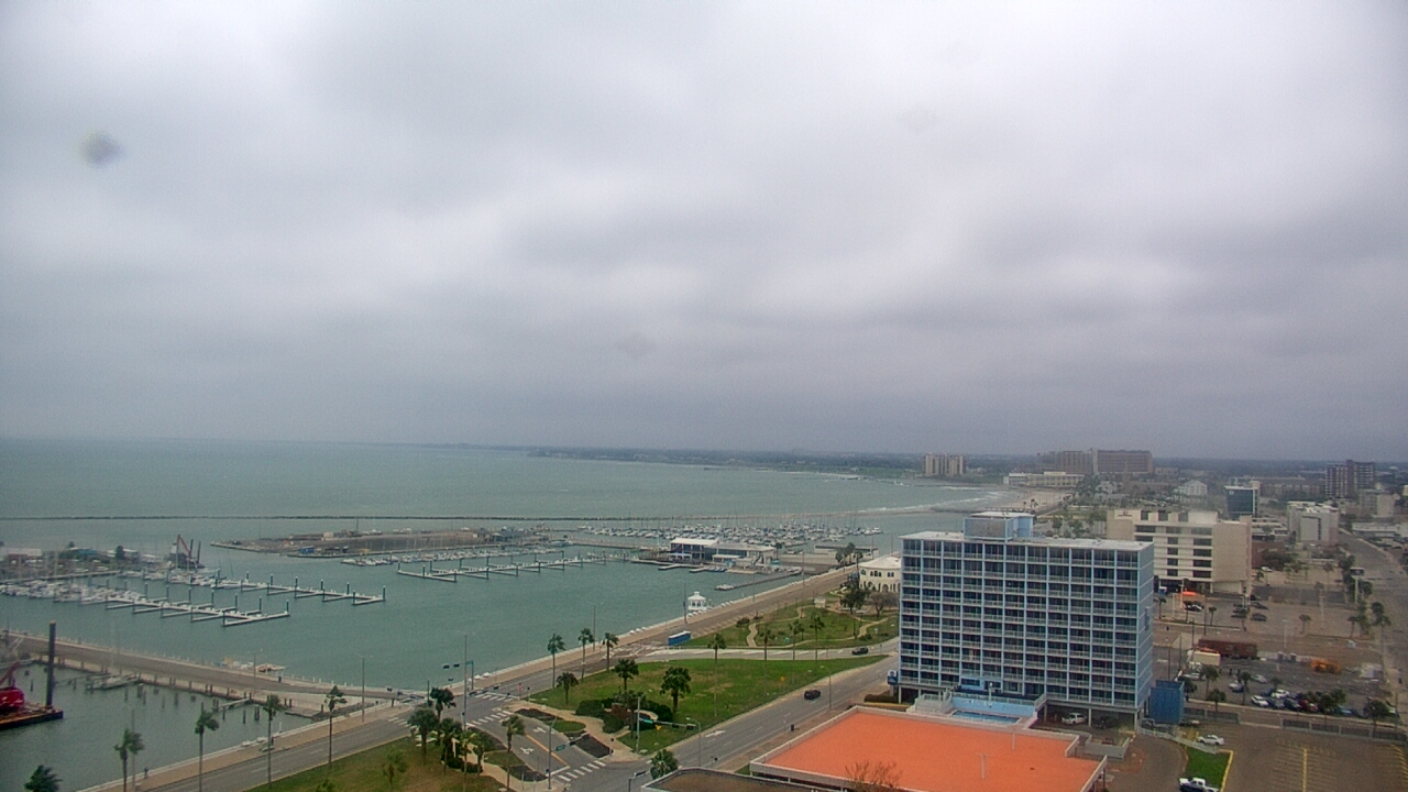 Thumbnail for current weather camera view from First Community Bank in Corpus Christi, Texas