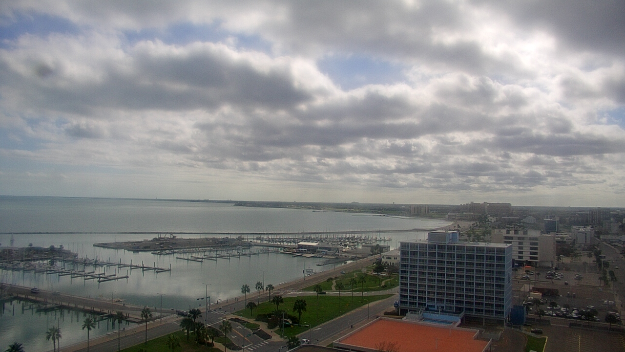 Thumbnail for current weather camera view from First Community Bank in Corpus Christi, Texas