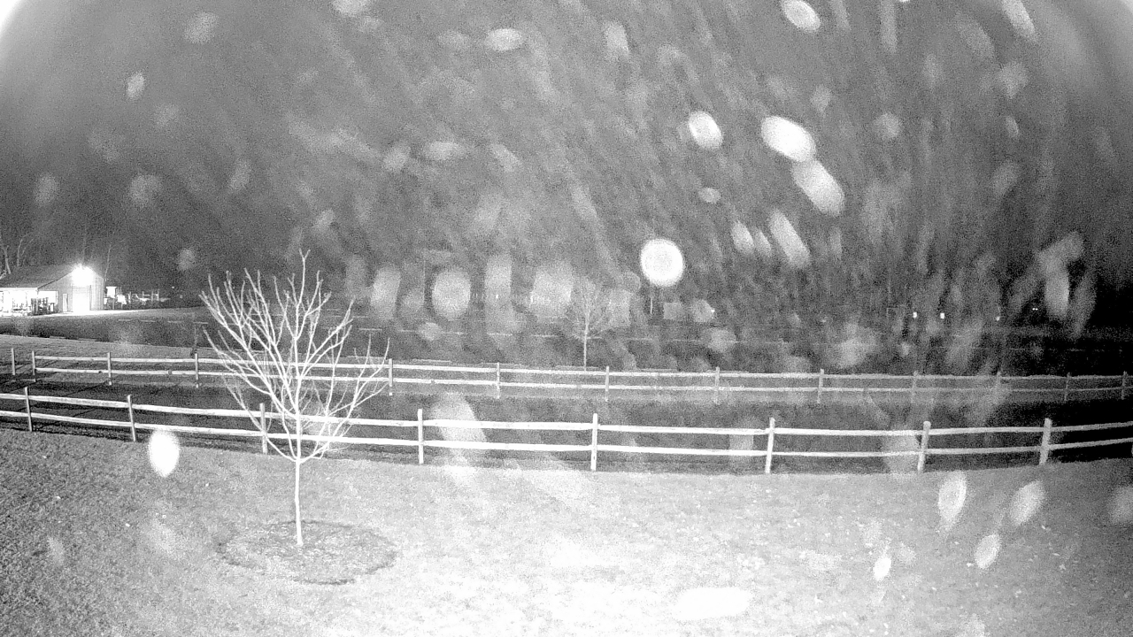 Thumbnail for current weather camera view from Bensville Park in Bennsville, Maryland