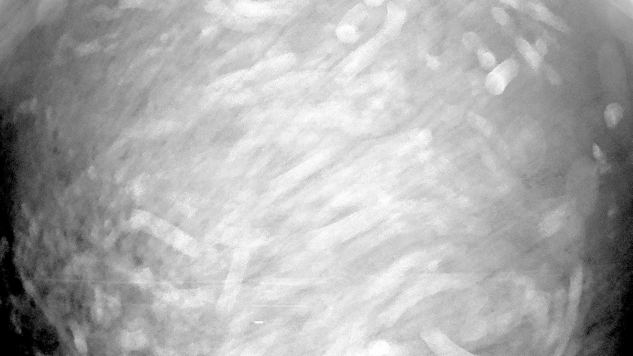 Thumbnail for current weather camera view from Gilbert Run Park in La Plata, Maryland