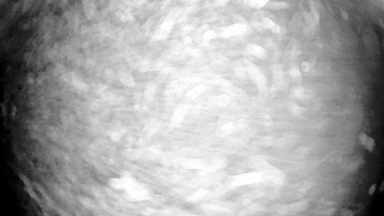 Thumbnail for current weather camera view from Gilbert Run Park in La Plata, Maryland