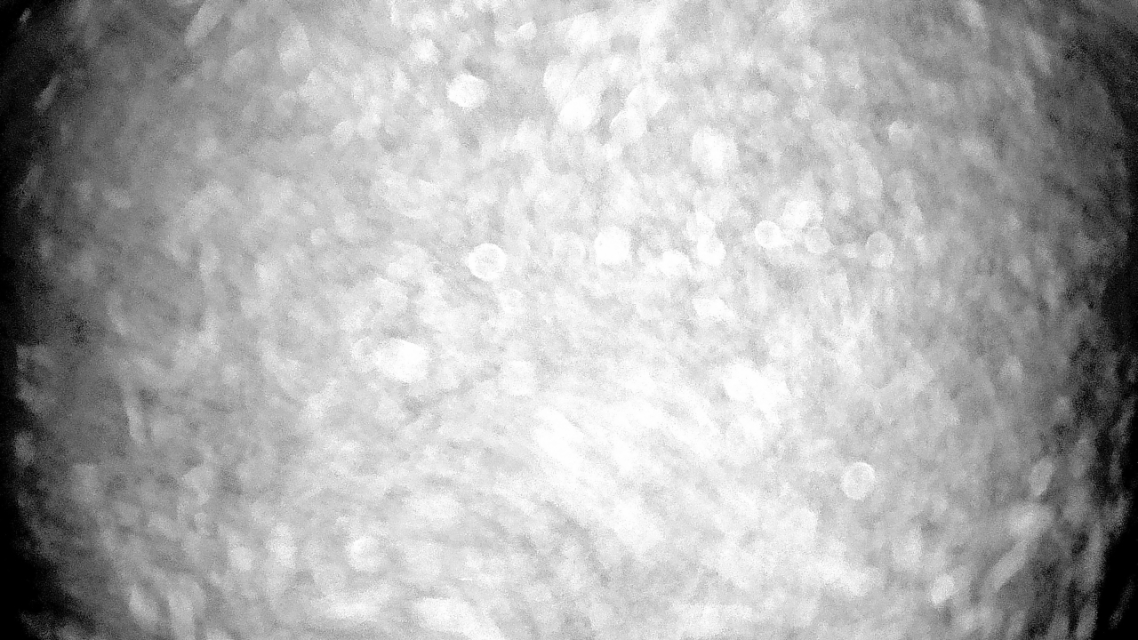 Thumbnail for current weather camera view from Gilbert Run Park in La Plata, Maryland