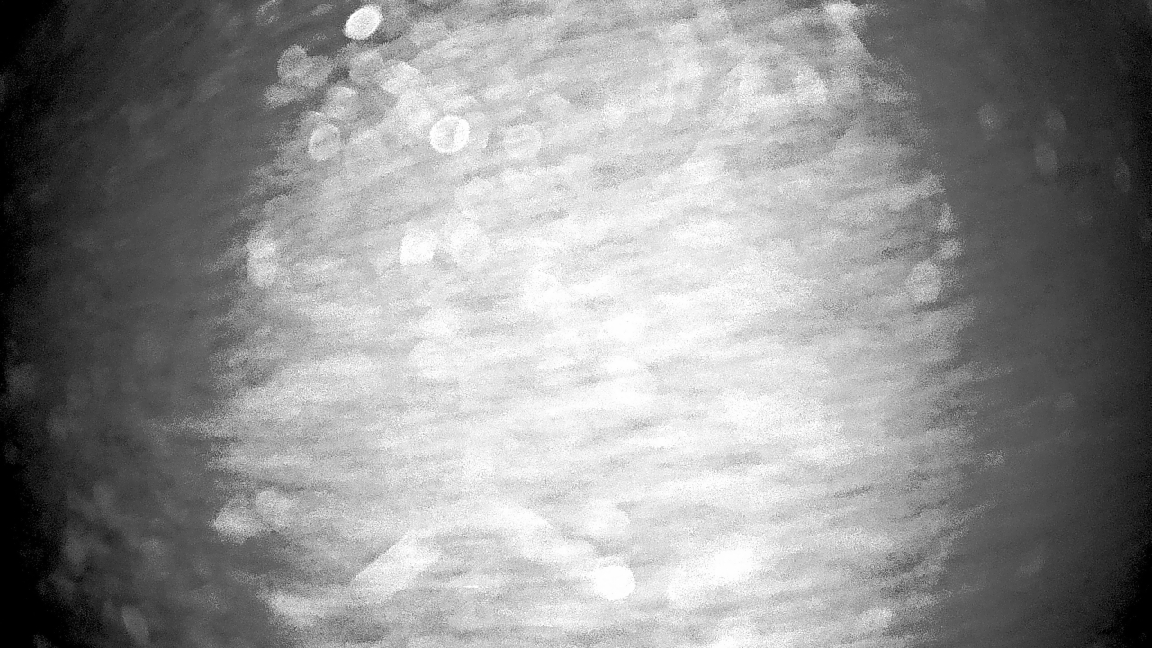 Thumbnail for current weather camera view from Gilbert Run Park in La Plata, Maryland