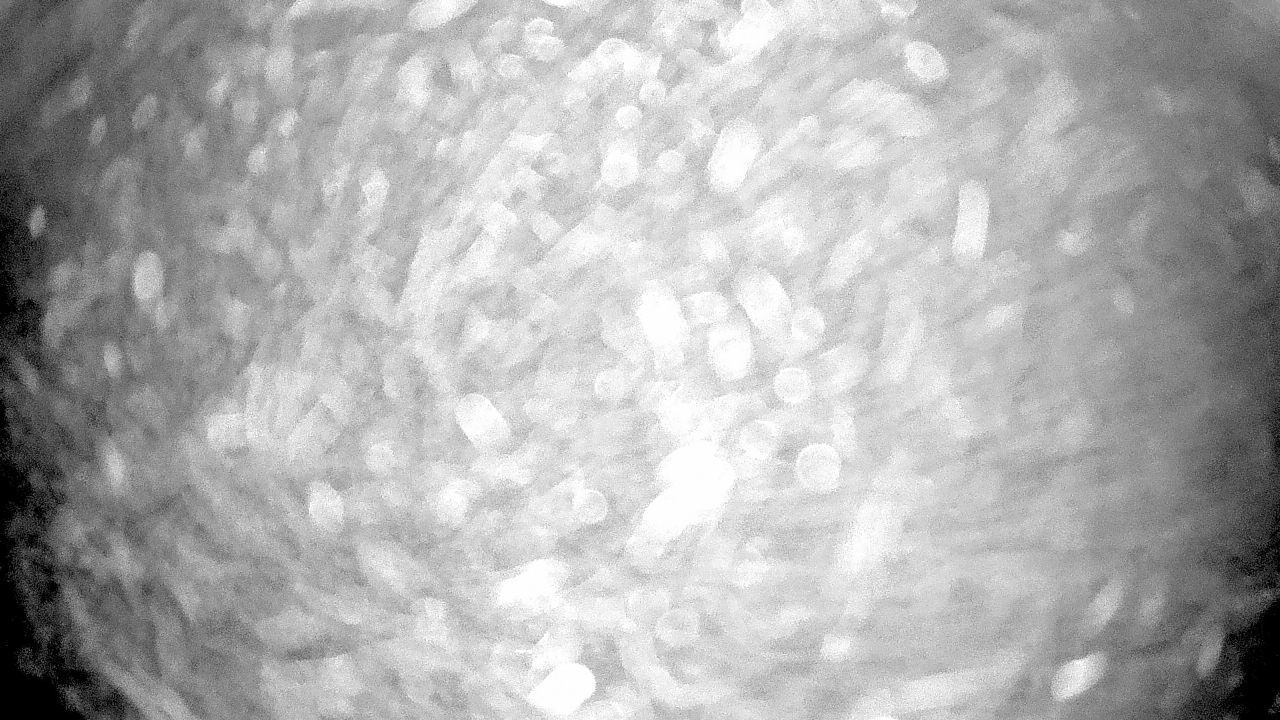 Thumbnail for current weather camera view from Gilbert Run Park in La Plata, Maryland