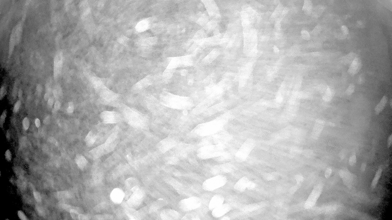 Thumbnail for current weather camera view from Gilbert Run Park in La Plata, Maryland