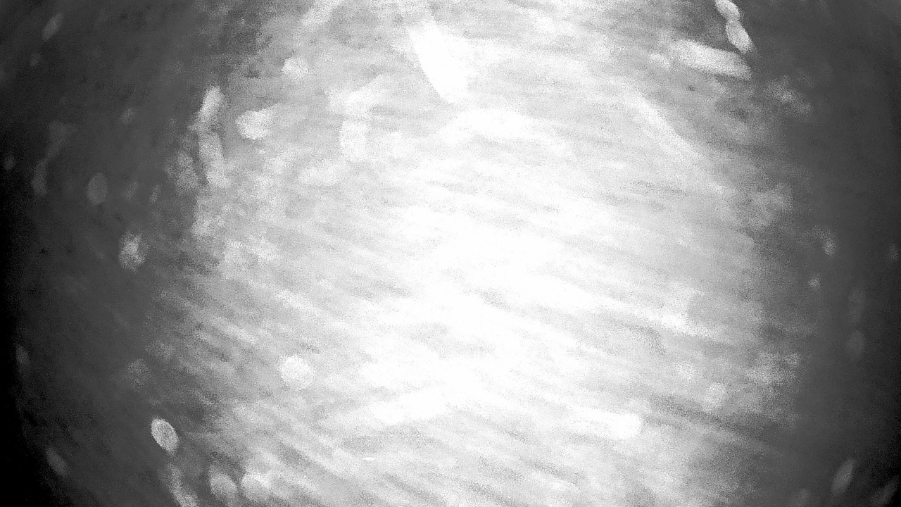 Thumbnail for current weather camera view from Gilbert Run Park in La Plata, Maryland