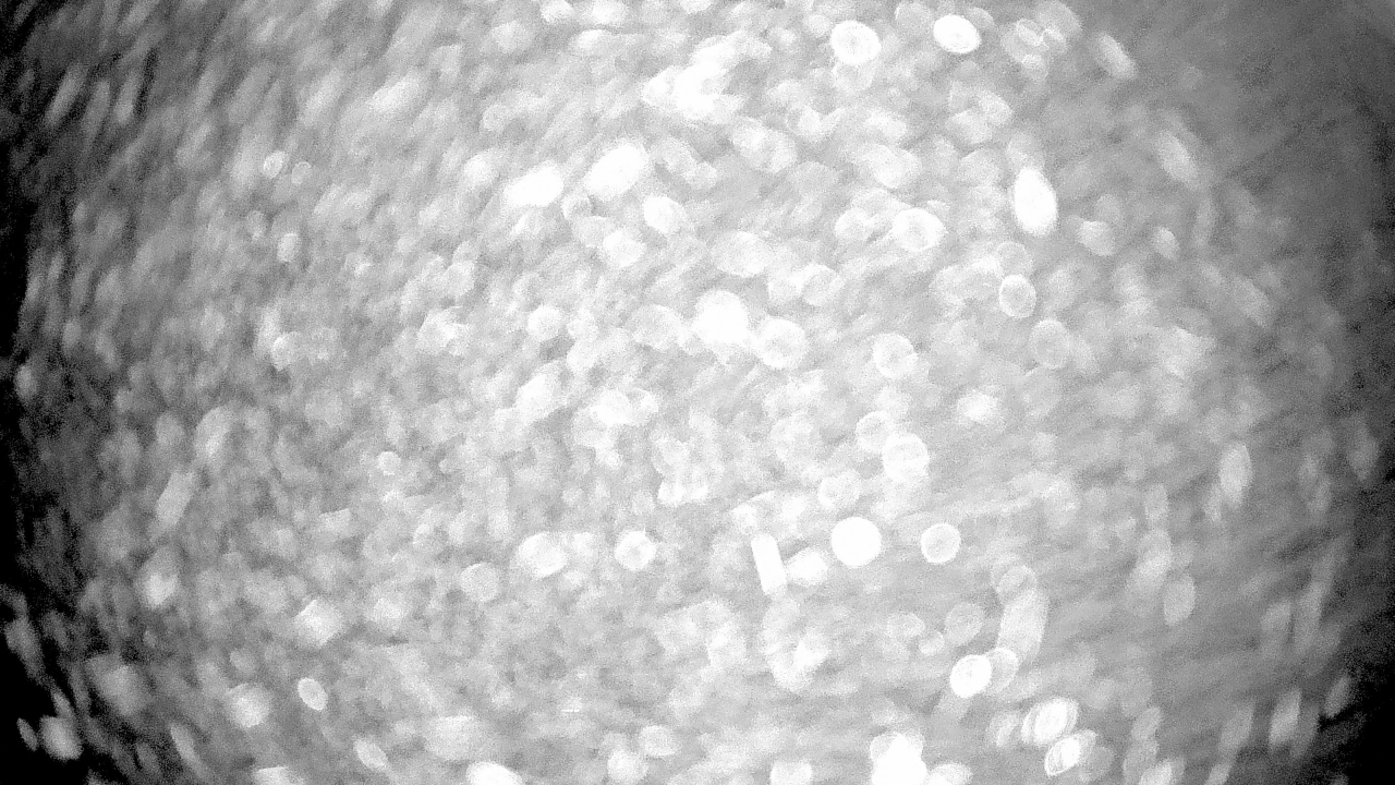 Thumbnail for current weather camera view from Gilbert Run Park in La Plata, Maryland