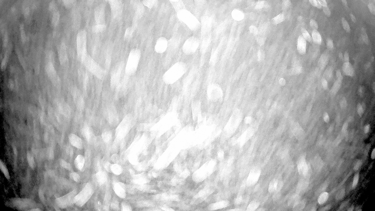 Thumbnail for current weather camera view from Gilbert Run Park in La Plata, Maryland