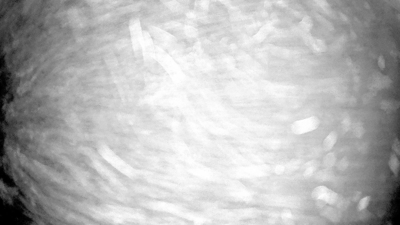 Thumbnail for current weather camera view from Gilbert Run Park in La Plata, Maryland