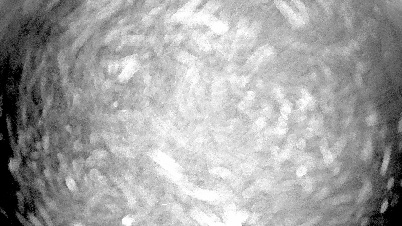 Thumbnail for current weather camera view from Gilbert Run Park in La Plata, Maryland