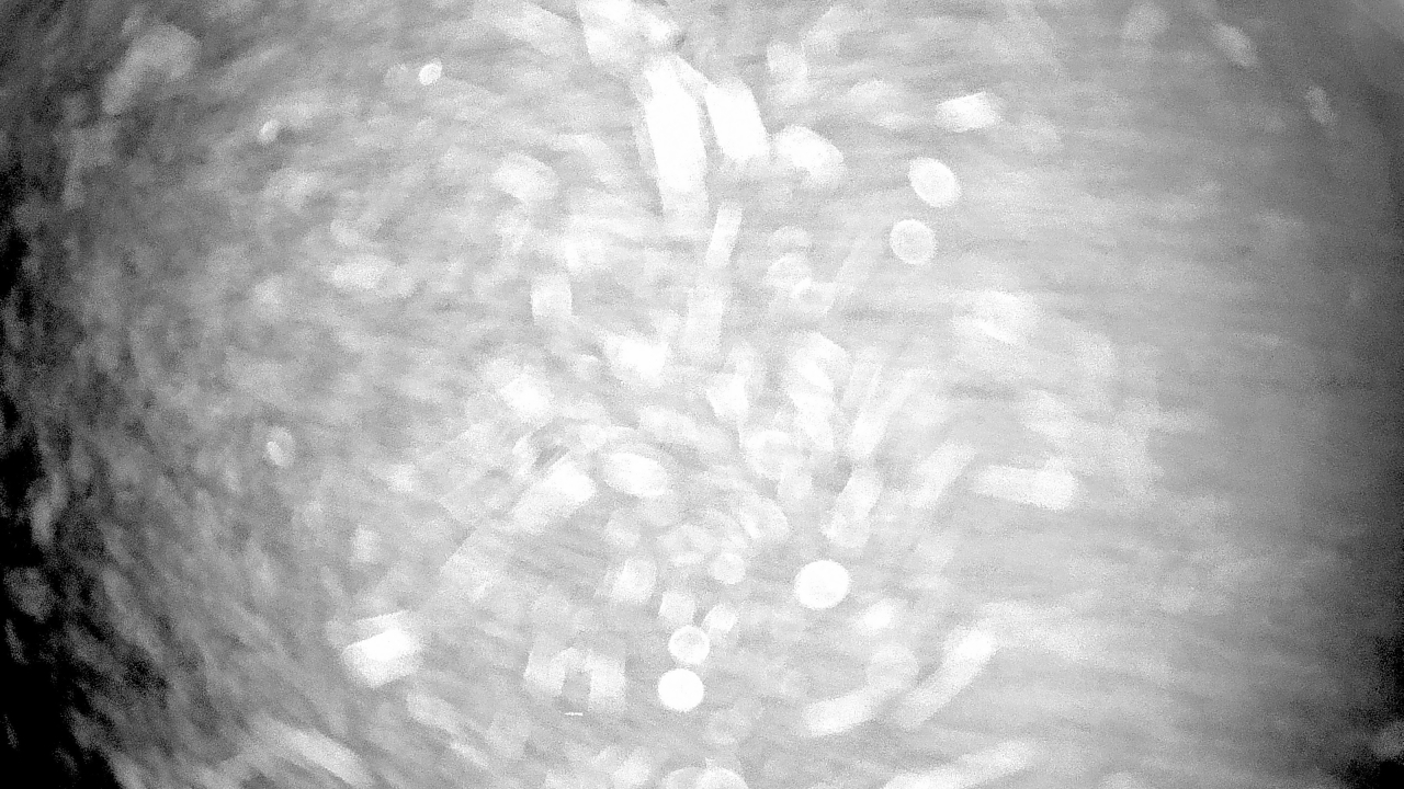 Thumbnail for current weather camera view from Gilbert Run Park in La Plata, Maryland