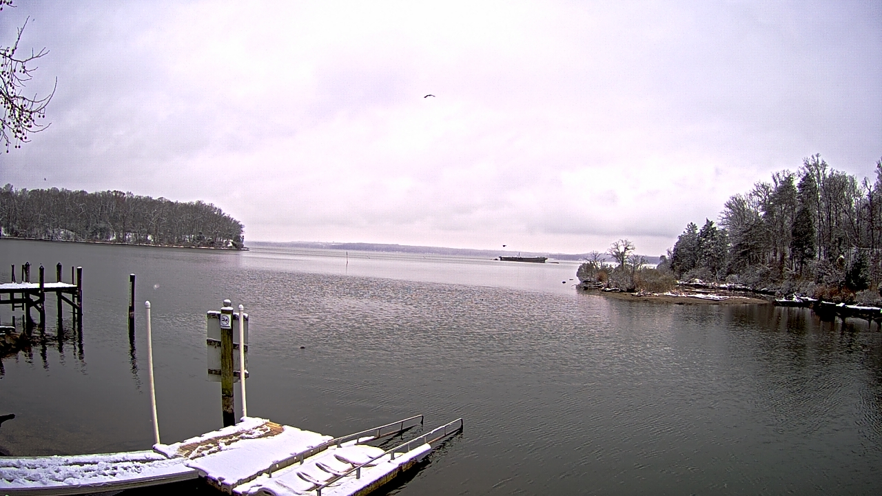 Thumbnail for current weather camera view from Mallows Bay in Indian Head, Maryland