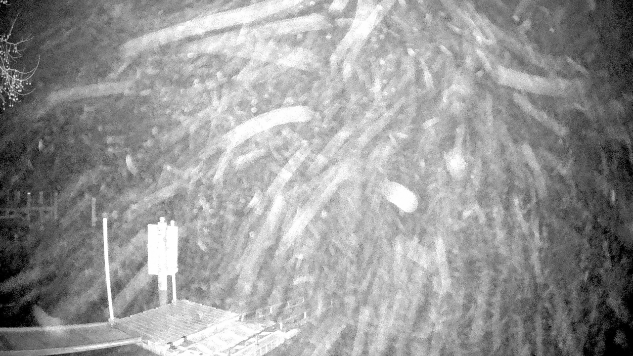 Thumbnail for current weather camera view from Mallows Bay in Indian Head, Maryland