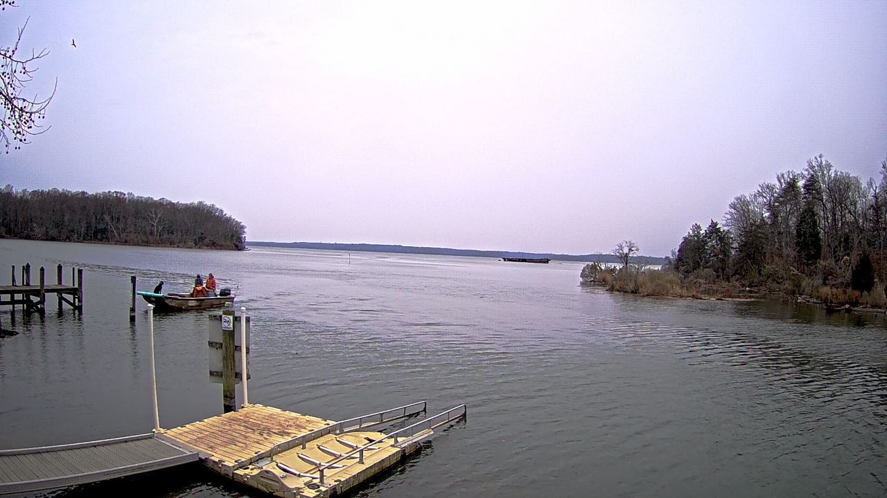 Thumbnail for current weather camera view from Mallows Bay in Indian Head, Maryland