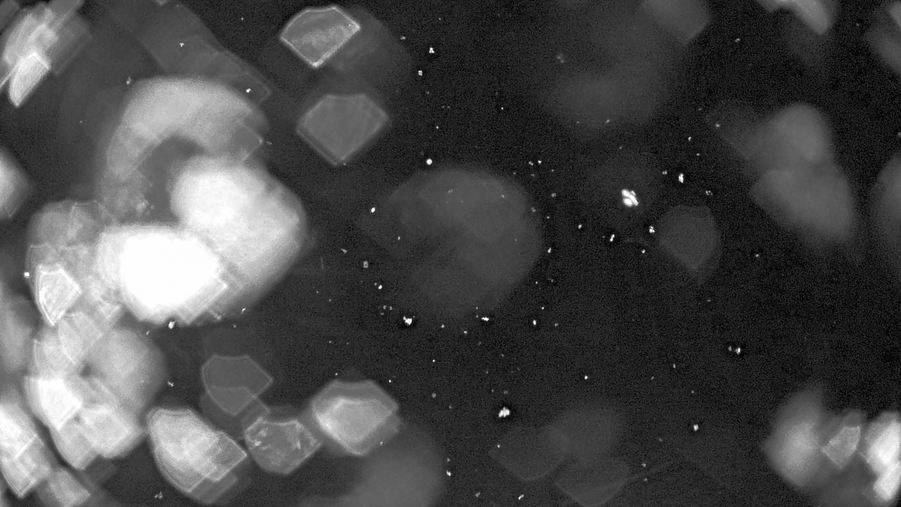 Thumbnail for current weather camera view from Pisgah Park in Indian Head, Maryland