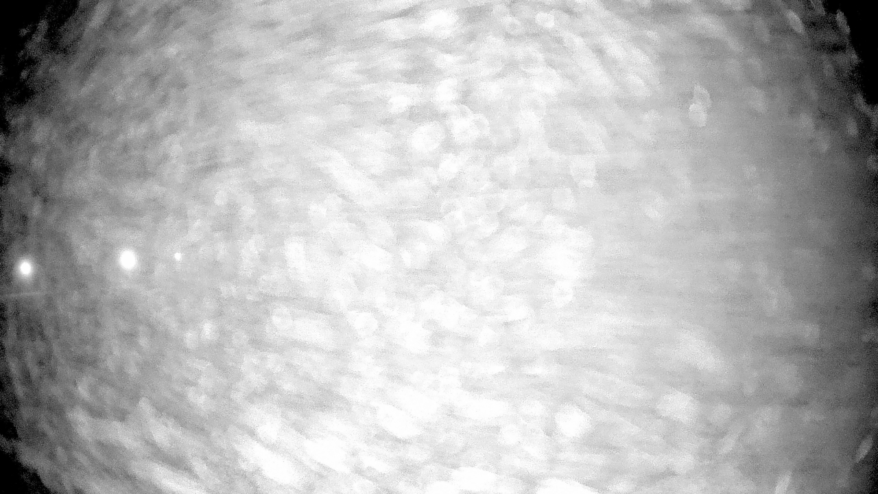 Thumbnail for current weather camera view from Pisgah Park in Indian Head, Maryland