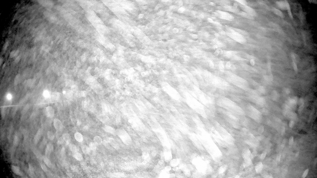 Thumbnail for current weather camera view from Pisgah Park in Indian Head, Maryland