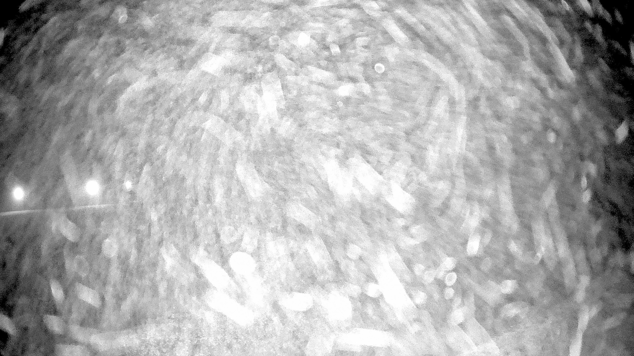 Thumbnail for current weather camera view from Pisgah Park in Indian Head, Maryland