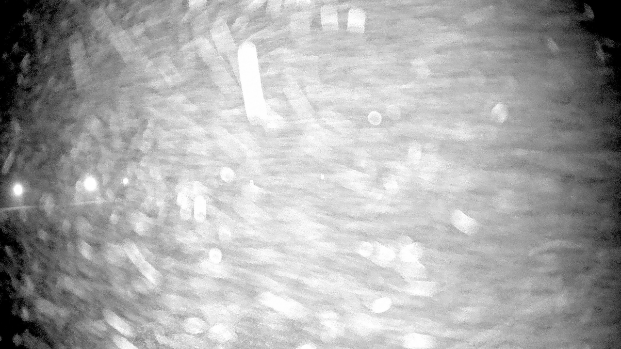 Thumbnail for current weather camera view from Pisgah Park in Indian Head, Maryland