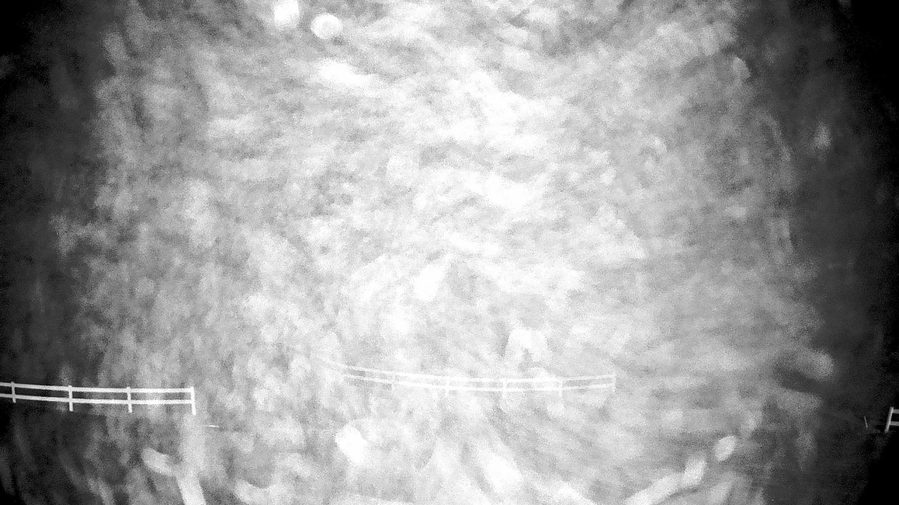 Thumbnail for current weather camera view from White Plains Regional Park in St. Charles, Maryland