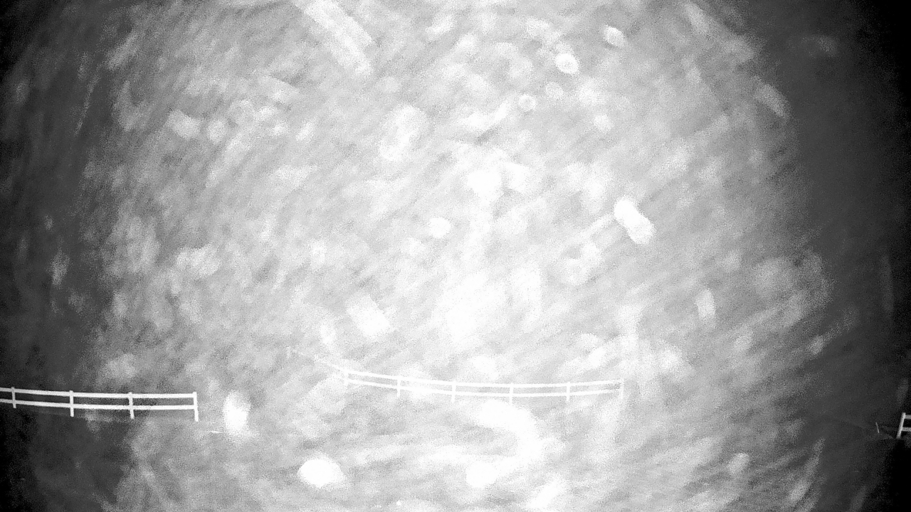 Thumbnail for current weather camera view from White Plains Regional Park in St. Charles, Maryland