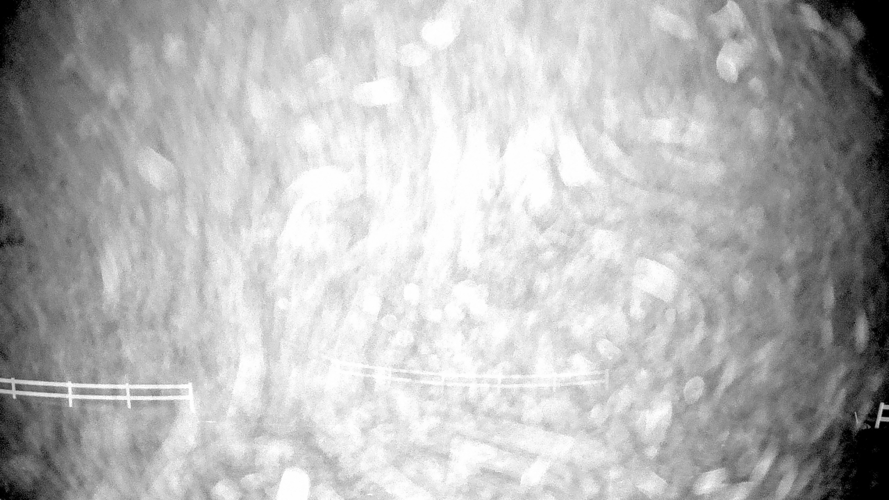 Thumbnail for current weather camera view from White Plains Regional Park in St. Charles, Maryland