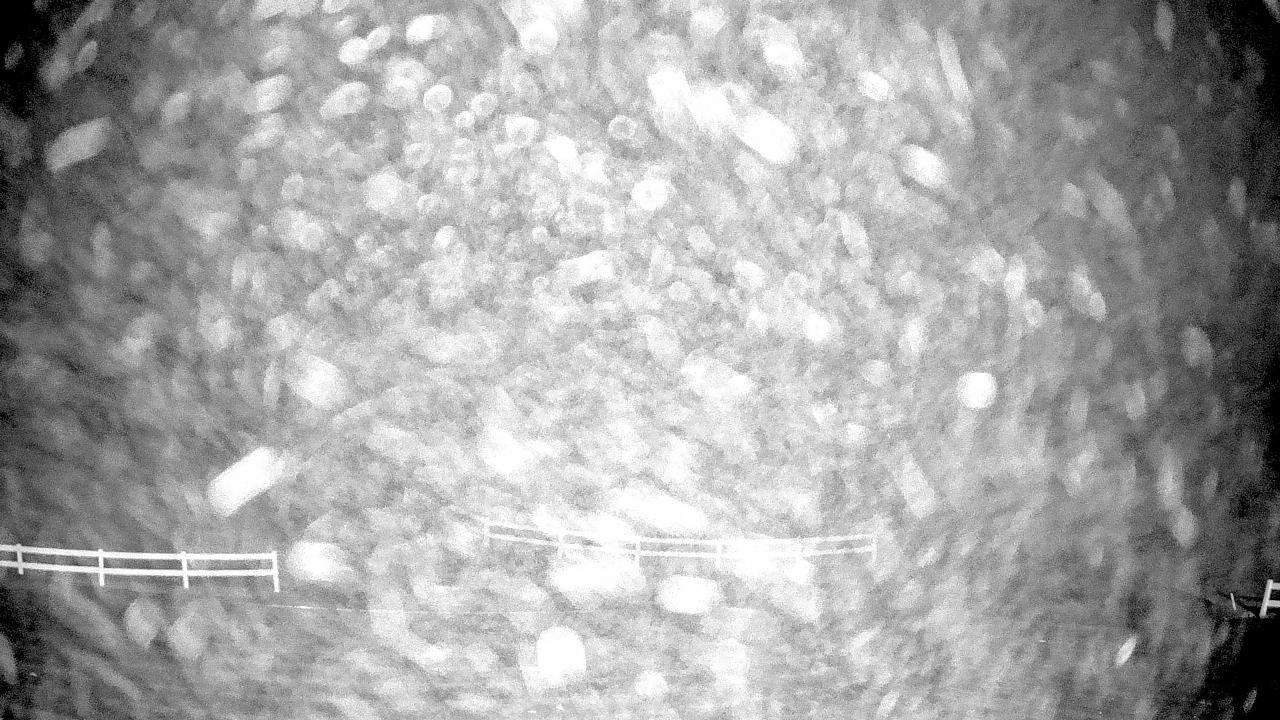 Thumbnail for current weather camera view from White Plains Regional Park in St. Charles, Maryland