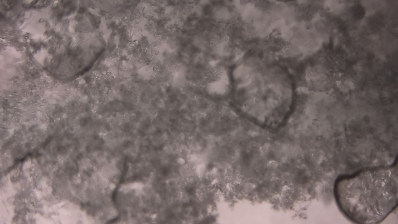 Thumbnail for current weather camera view from P.V. Moore HS in Central Square, New York