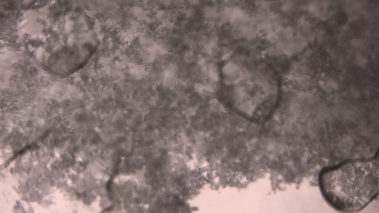 Thumbnail for current weather camera view from P.V. Moore HS in Central Square, New York