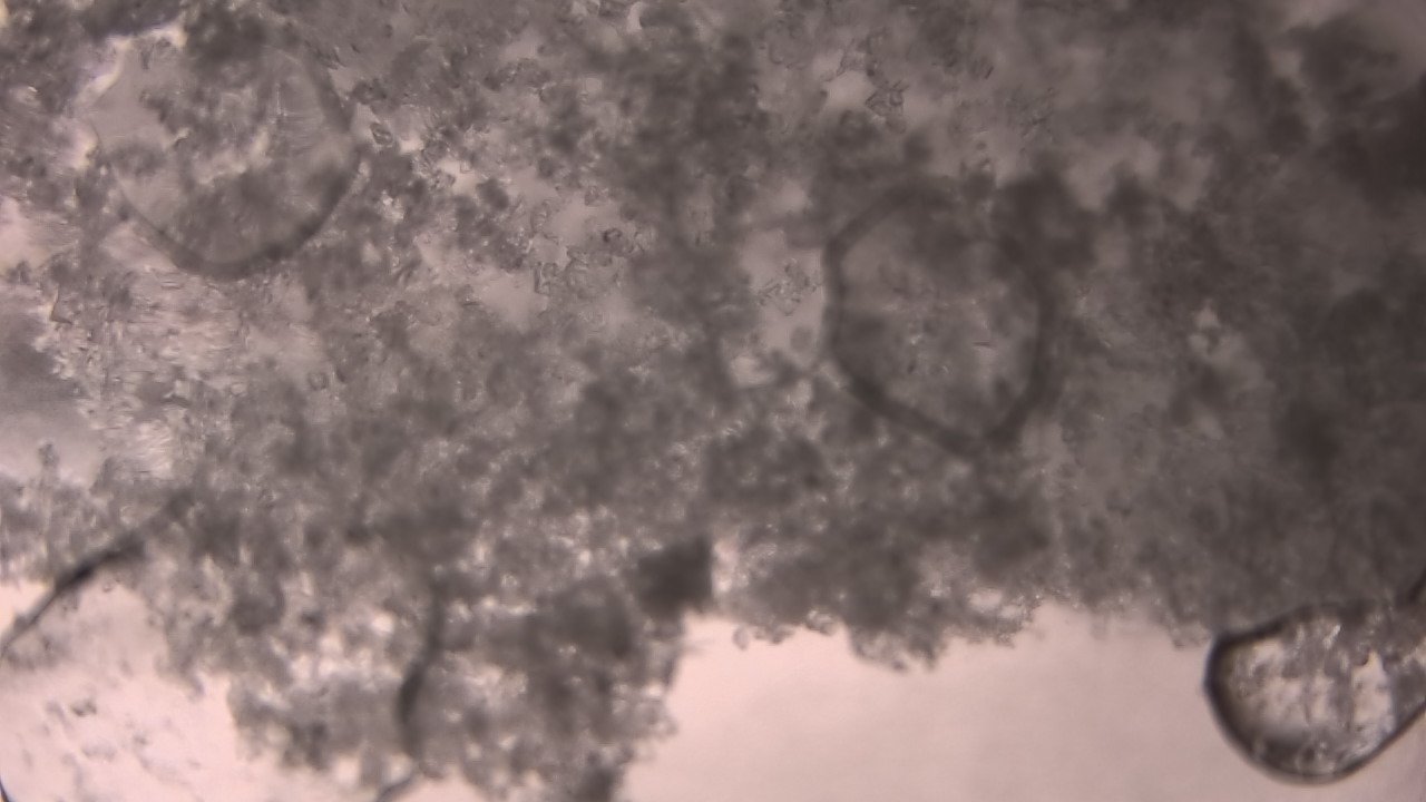 Thumbnail for current weather camera view from P.V. Moore HS in Central Square, New York