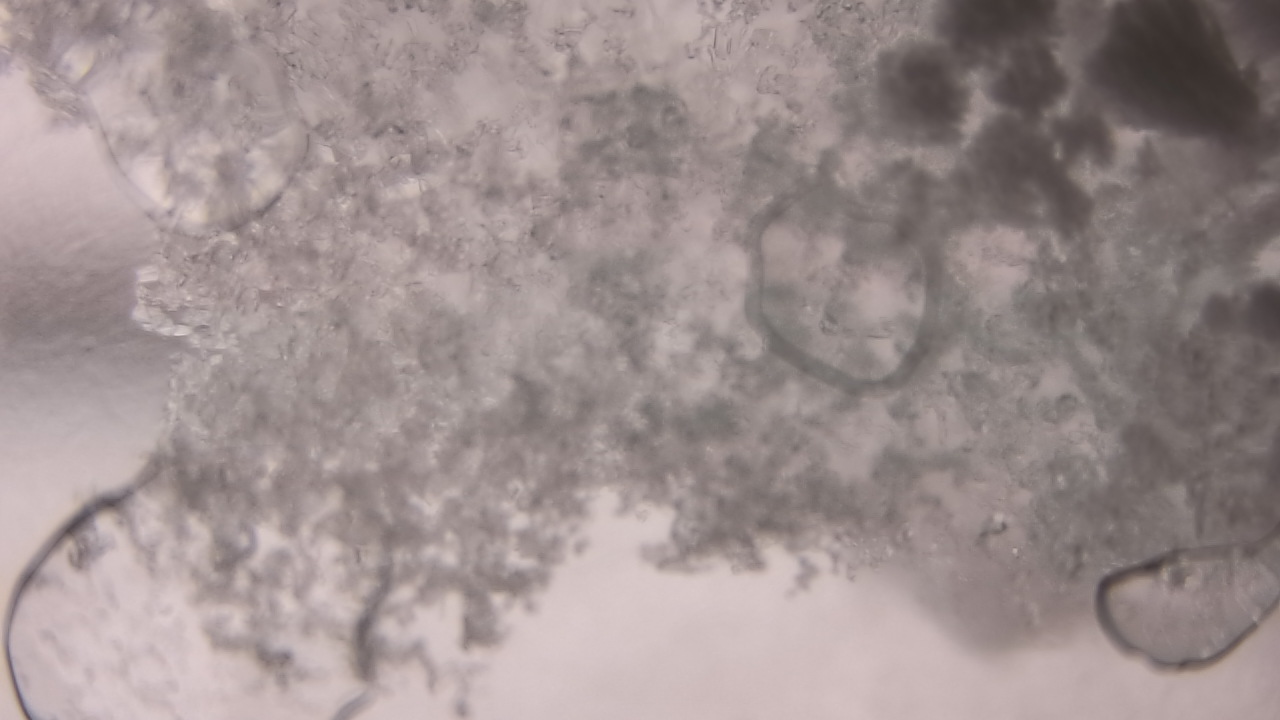 Thumbnail for current weather camera view from P.V. Moore HS in Central Square, New York