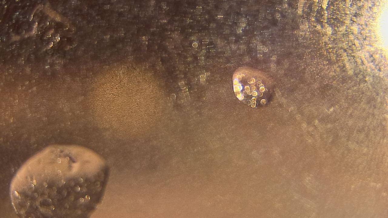 Thumbnail for current weather camera view from P.V. Moore HS in Central Square, New York