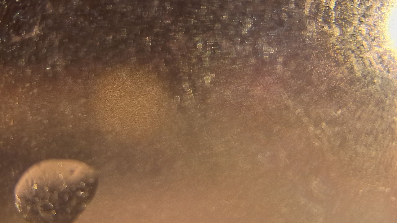 Thumbnail for current weather camera view from P.V. Moore HS in Central Square, New York