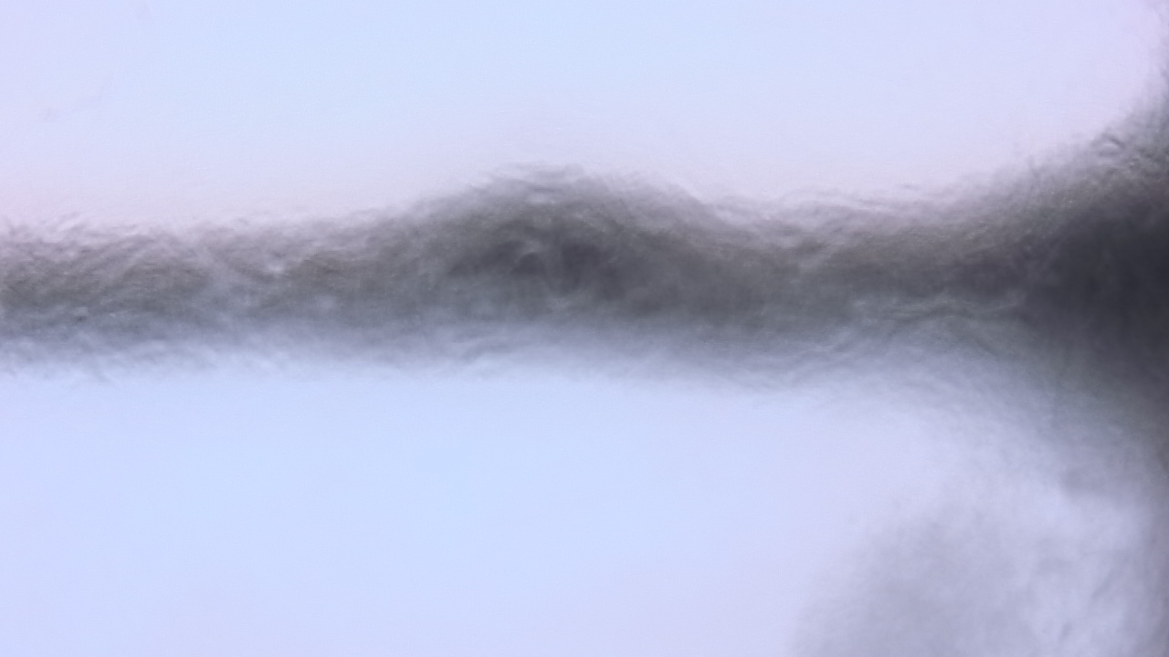 Thumbnail for current weather camera view from P.V. Moore HS in Central Square, New York