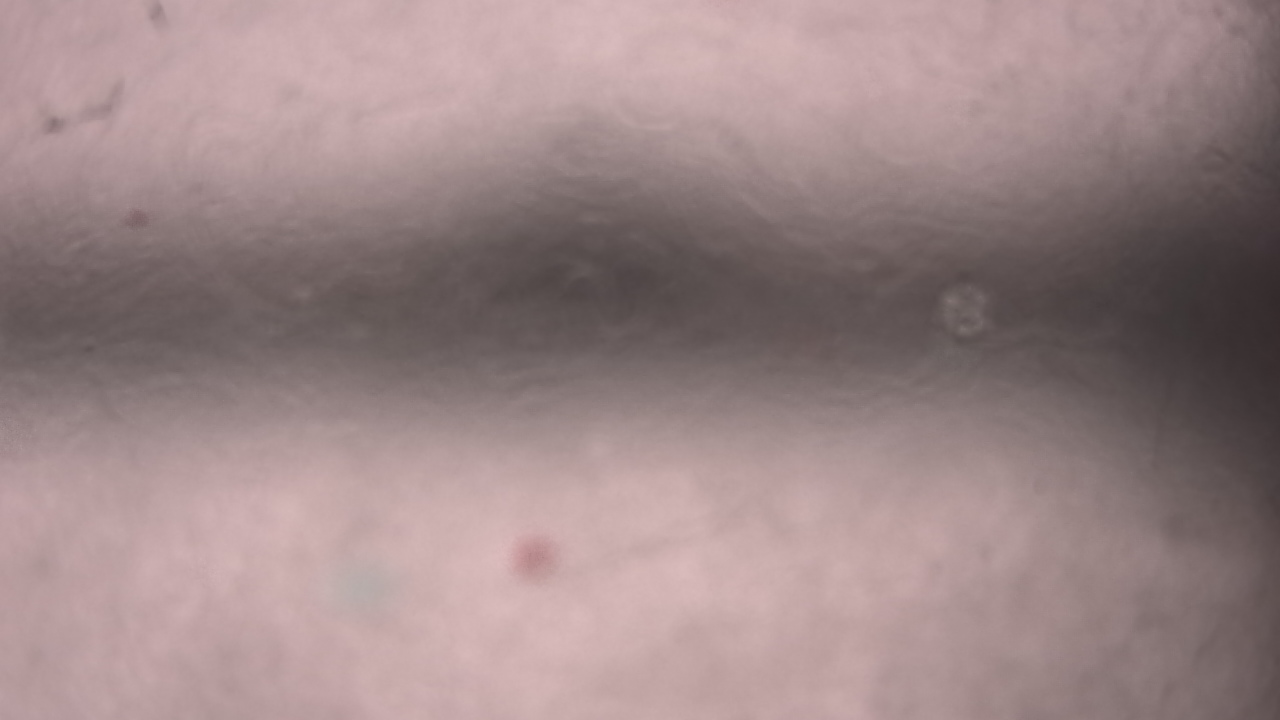 Thumbnail for current weather camera view from P.V. Moore HS in Central Square, New York