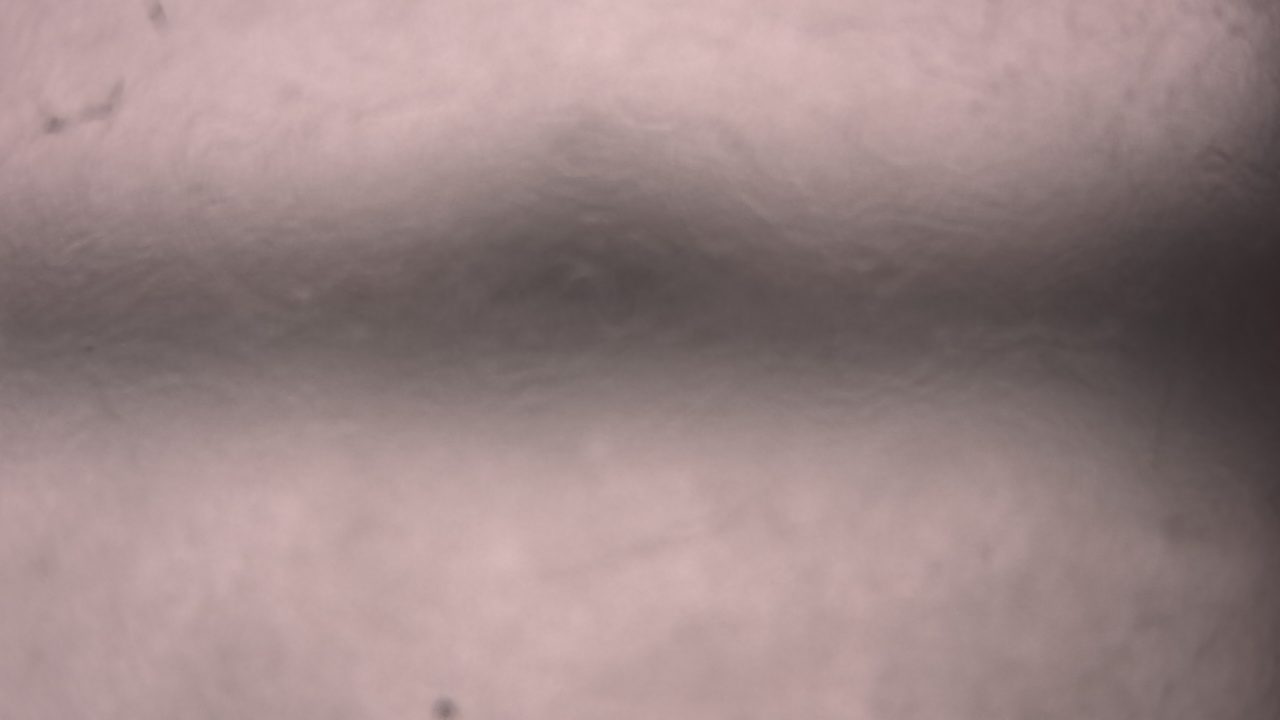 Thumbnail for current weather camera view from P.V. Moore HS in Central Square, New York