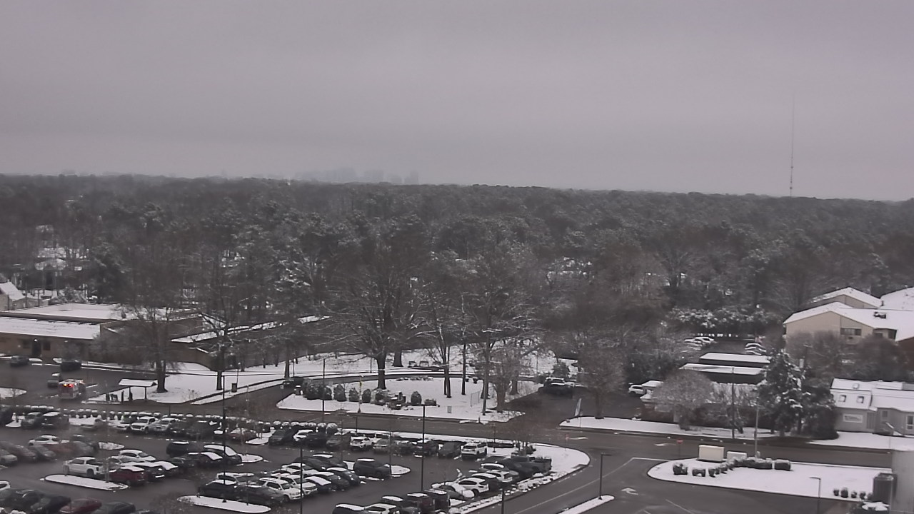 Thumbnail for current weather camera view from Chippenham Hospital in Richmond, Virginia