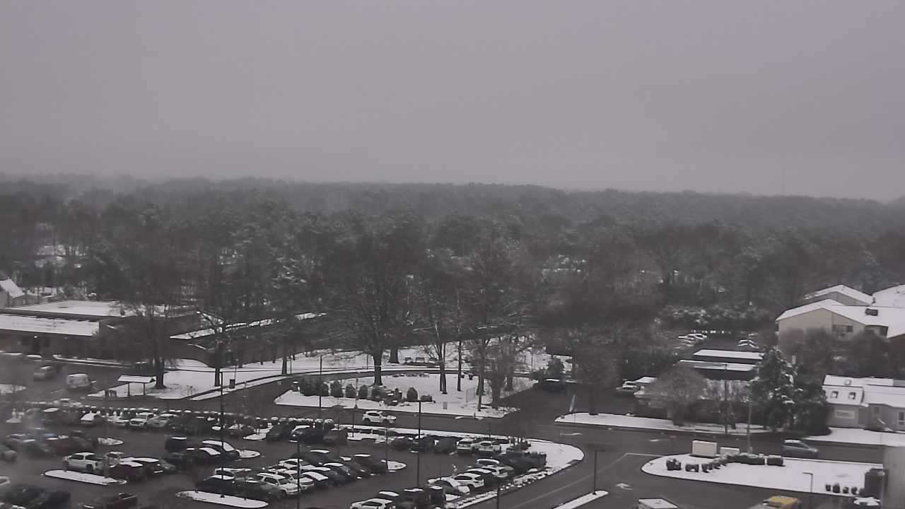 Thumbnail for current weather camera view from Chippenham Hospital in Richmond, Virginia