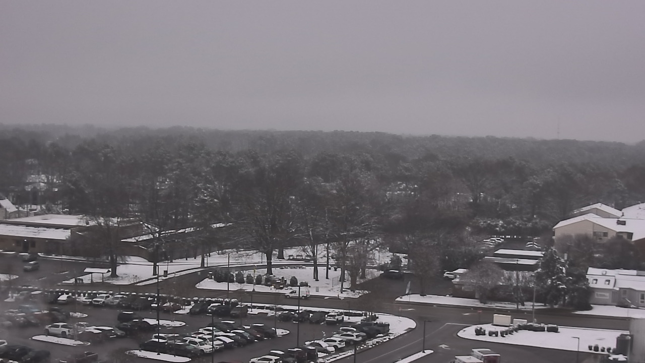 Thumbnail for current weather camera view from Chippenham Hospital in Richmond, Virginia