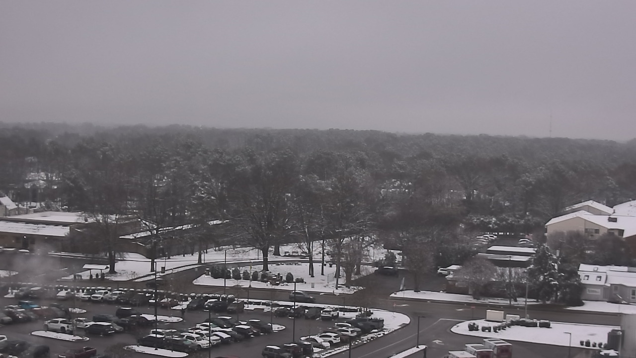 Thumbnail for current weather camera view from Chippenham Hospital in Richmond, Virginia