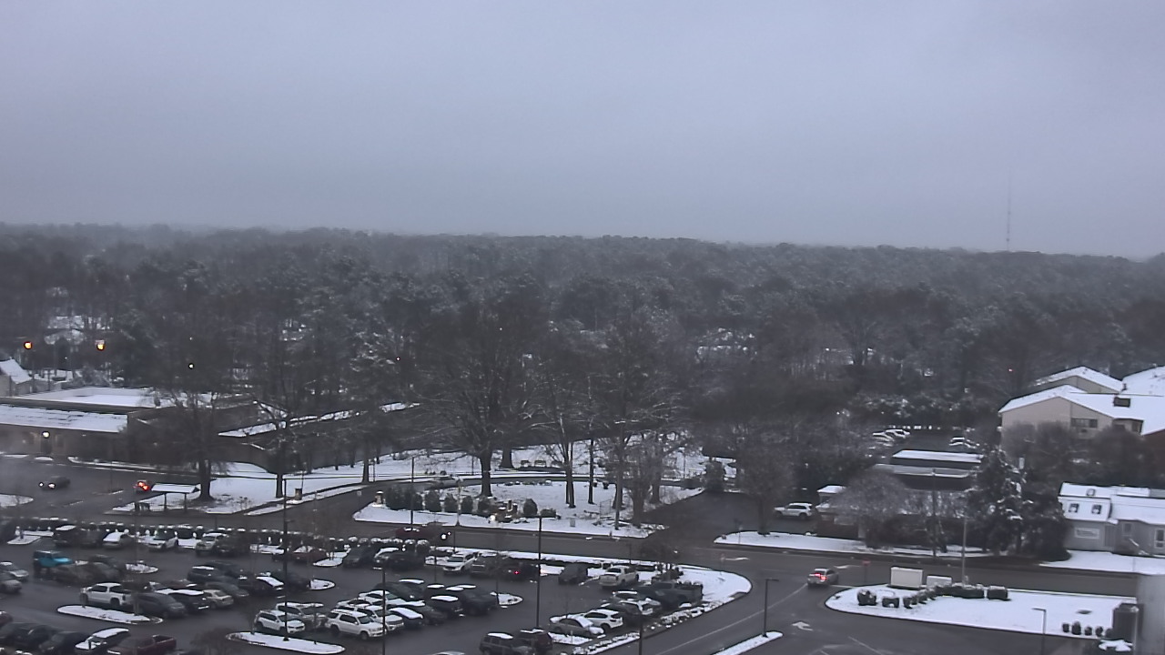 Thumbnail for current weather camera view from Chippenham Hospital in Richmond, Virginia