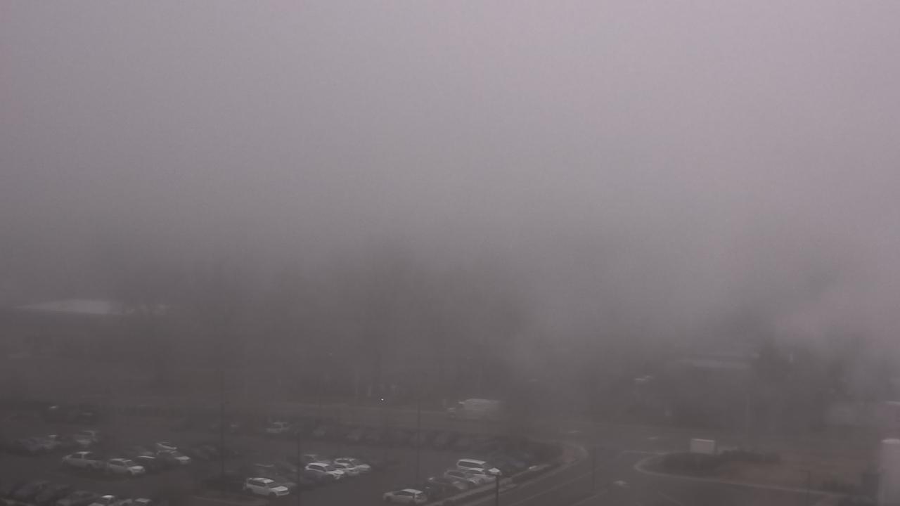 Thumbnail for current weather camera view from Chippenham Hospital in Richmond, Virginia