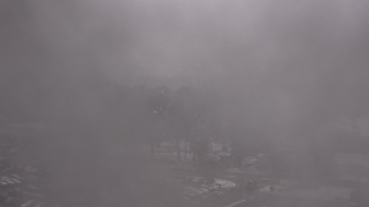 Thumbnail for current weather camera view from Chippenham Hospital in Richmond, Virginia